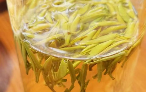 宏昊三八节特辑｜春风有信 芳华如诉