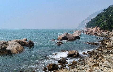宏昊所团建第三波-青岛四日游